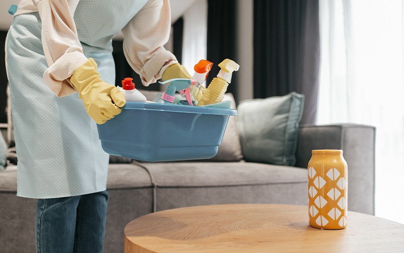 Professional cleaning supplies for regular and deep home cleaning.