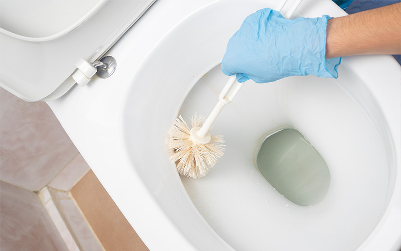 Person wearing a blue glove using a brush to clean a toilet bowl
