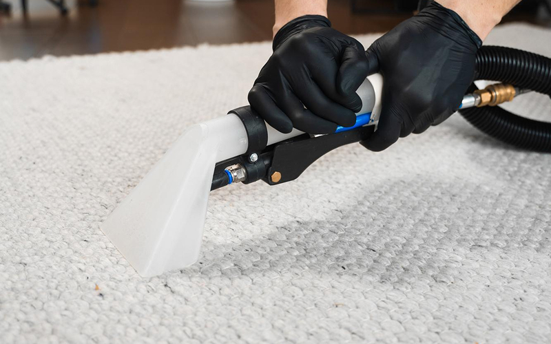 Professional technician deep cleaning a carpet to prevent germs